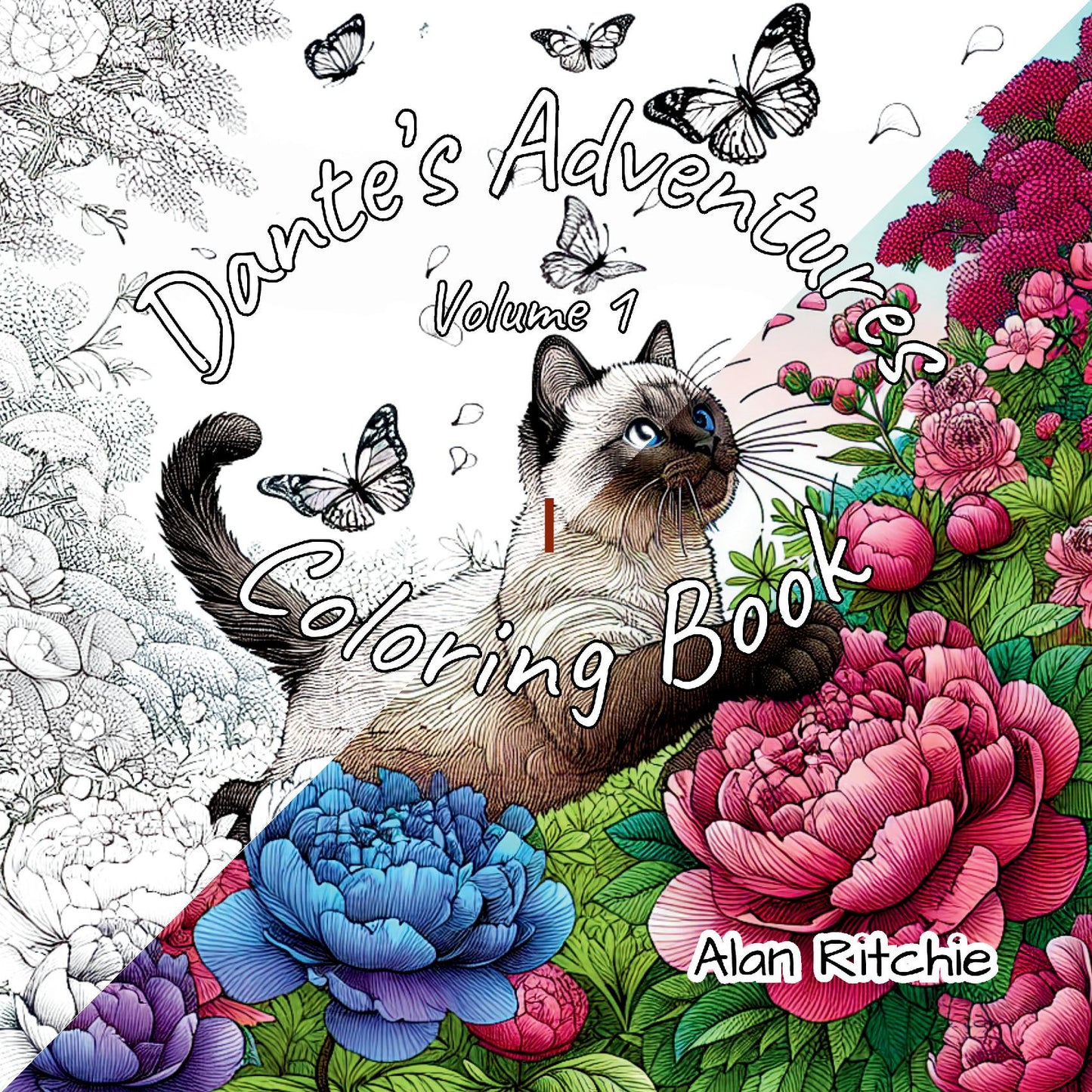 Dante's Adventures Coloring Book - Vol 1